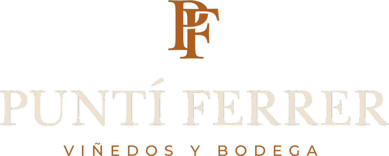 Puntí Ferrer