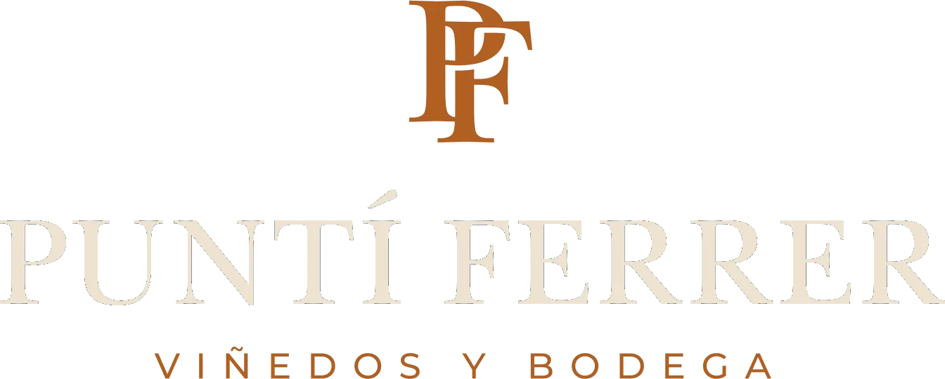 Puntí Ferrer · Viñedos y Bodega