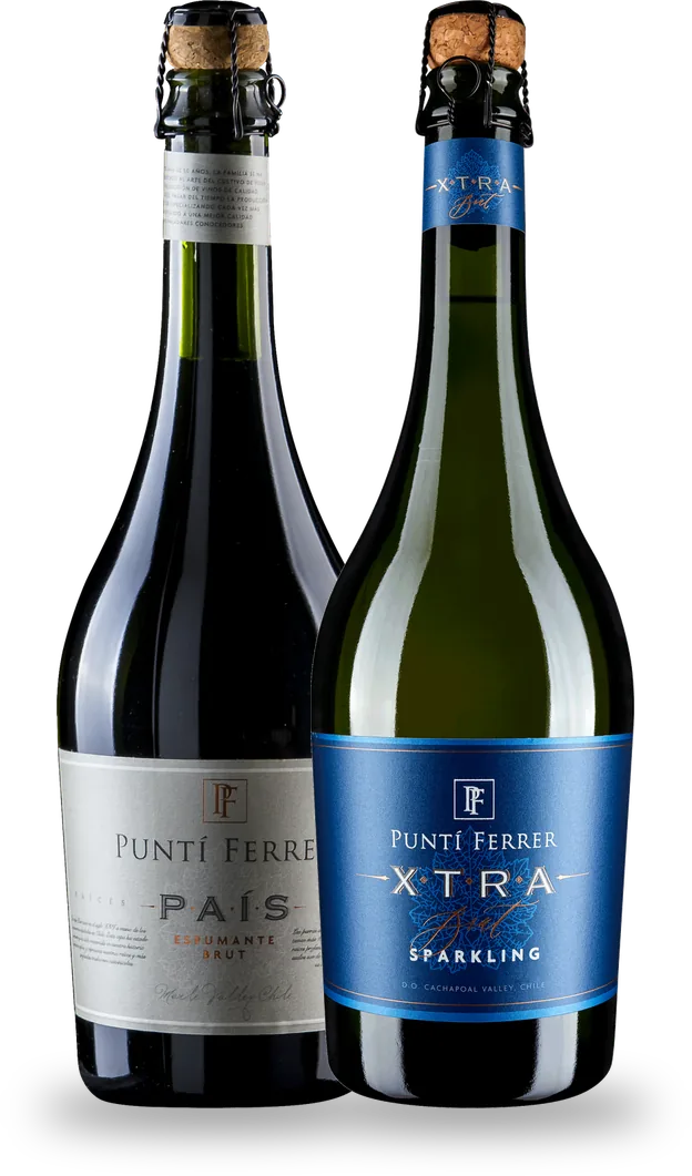 Línea Espumantes — Viña Puntí Ferrer