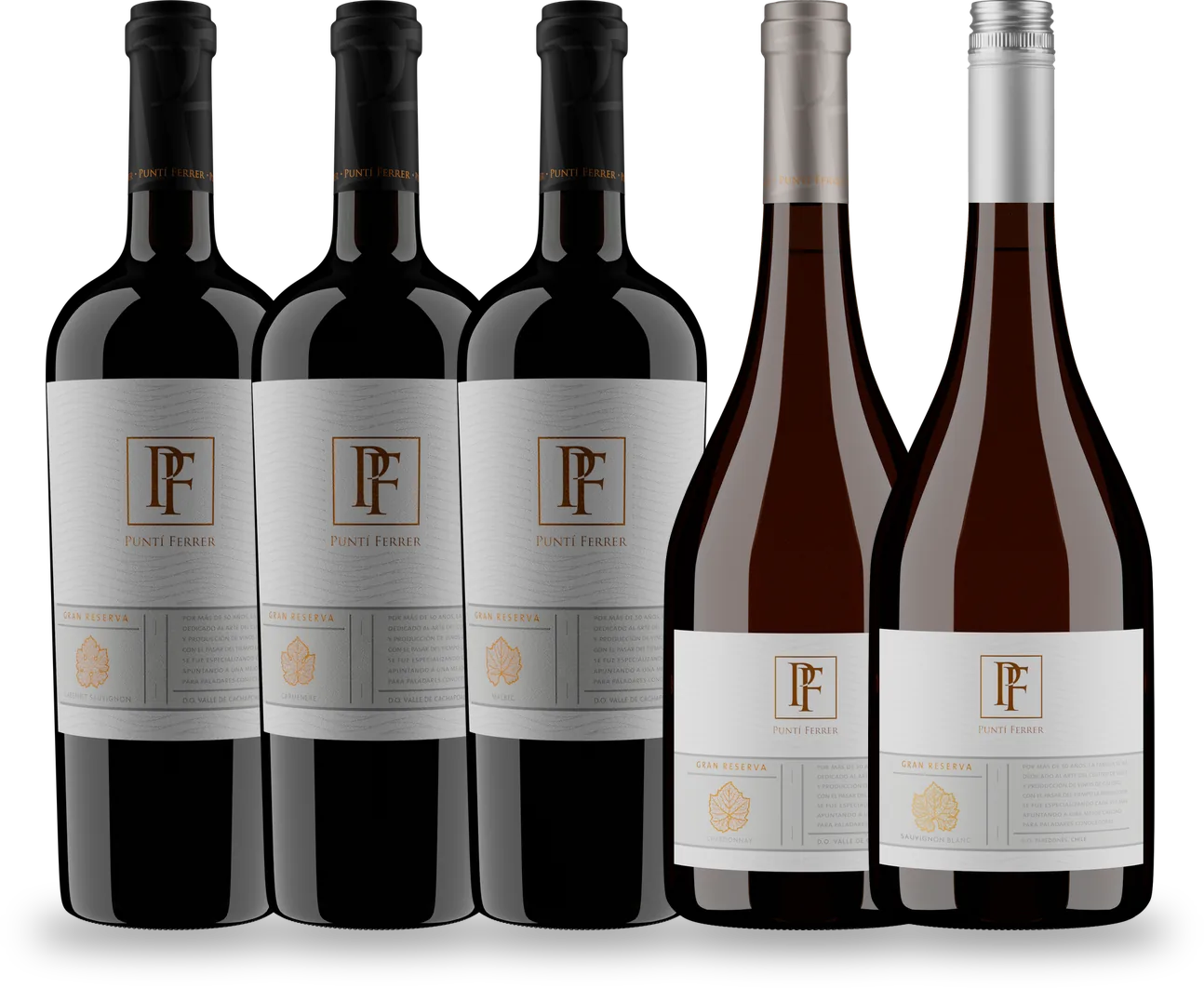 Línea Gran Reserva — Viña Puntí Ferrer