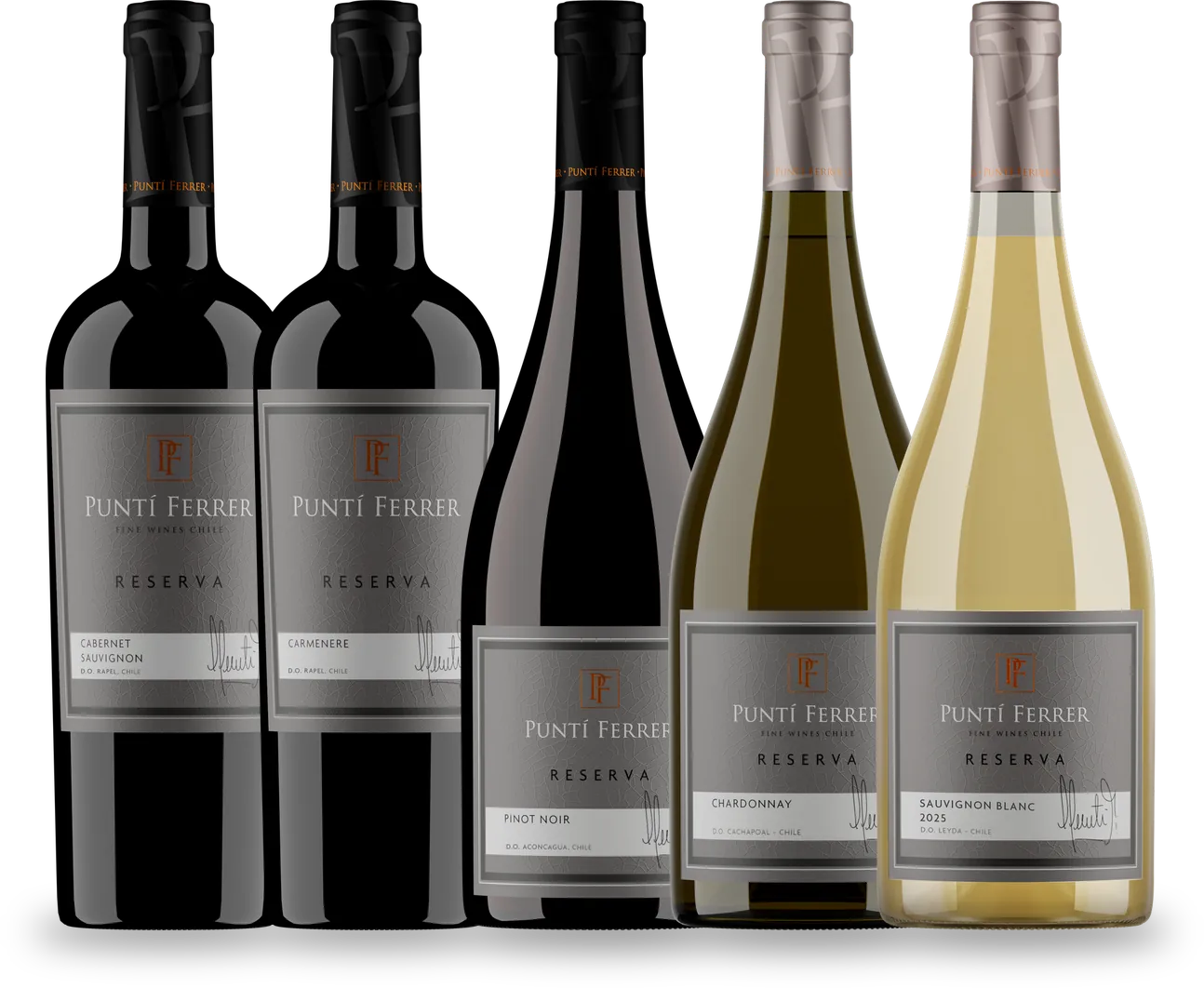 Línea Reserva — Viña Puntí Ferrer
