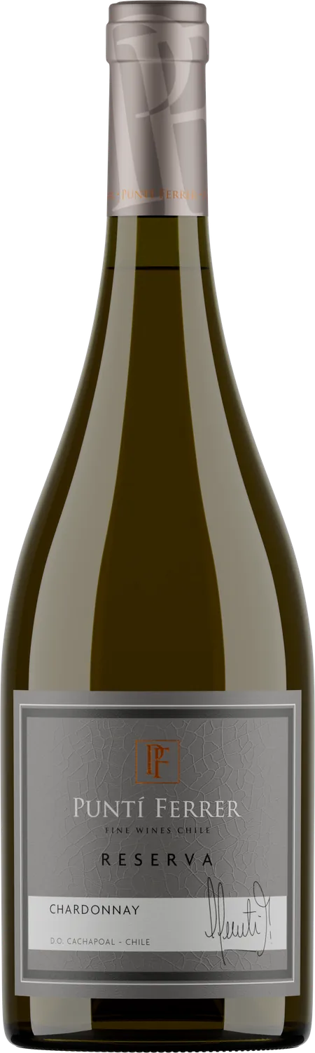 Reserva Chardonnay — Viña Puntí Ferrer, Valle de Cachapoal