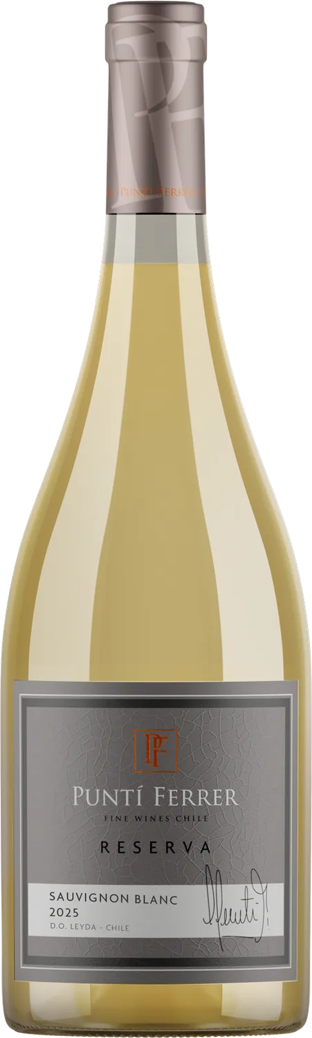 Reserva Sauvignon Blanc — Viña Puntí Ferrer, Valle de Cachapoal