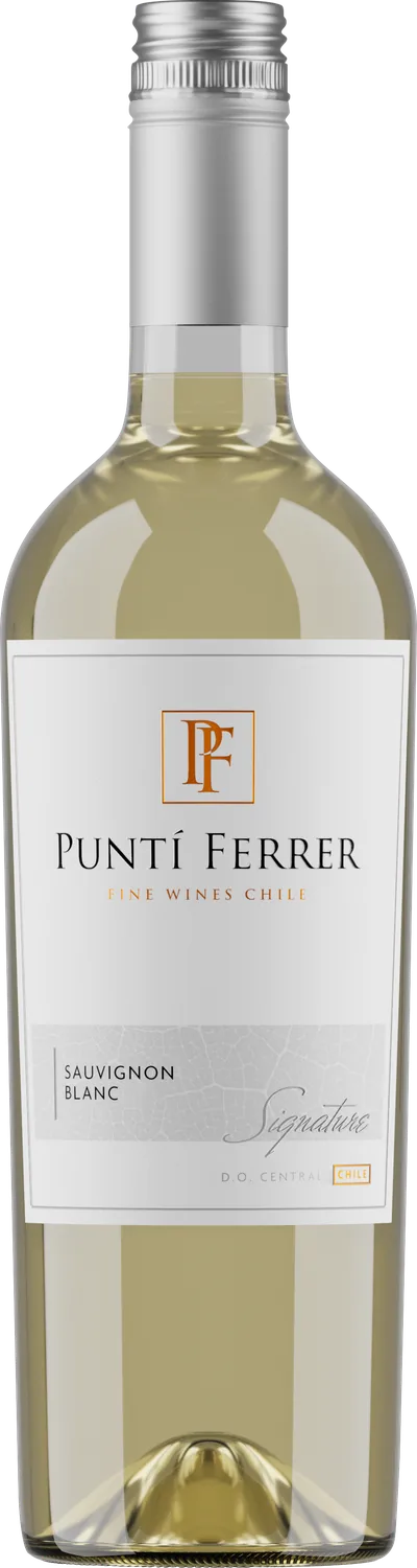 Signature Sauvignon Blanc — Viña Puntí Ferrer, Valle Central